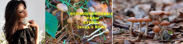 прущий лед Пестово