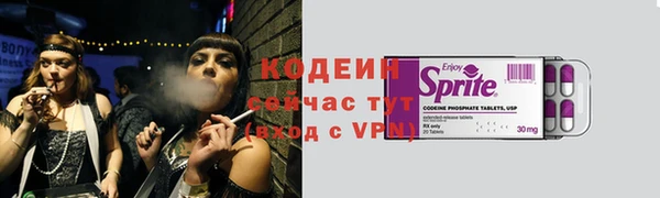 прущий лед Пестово